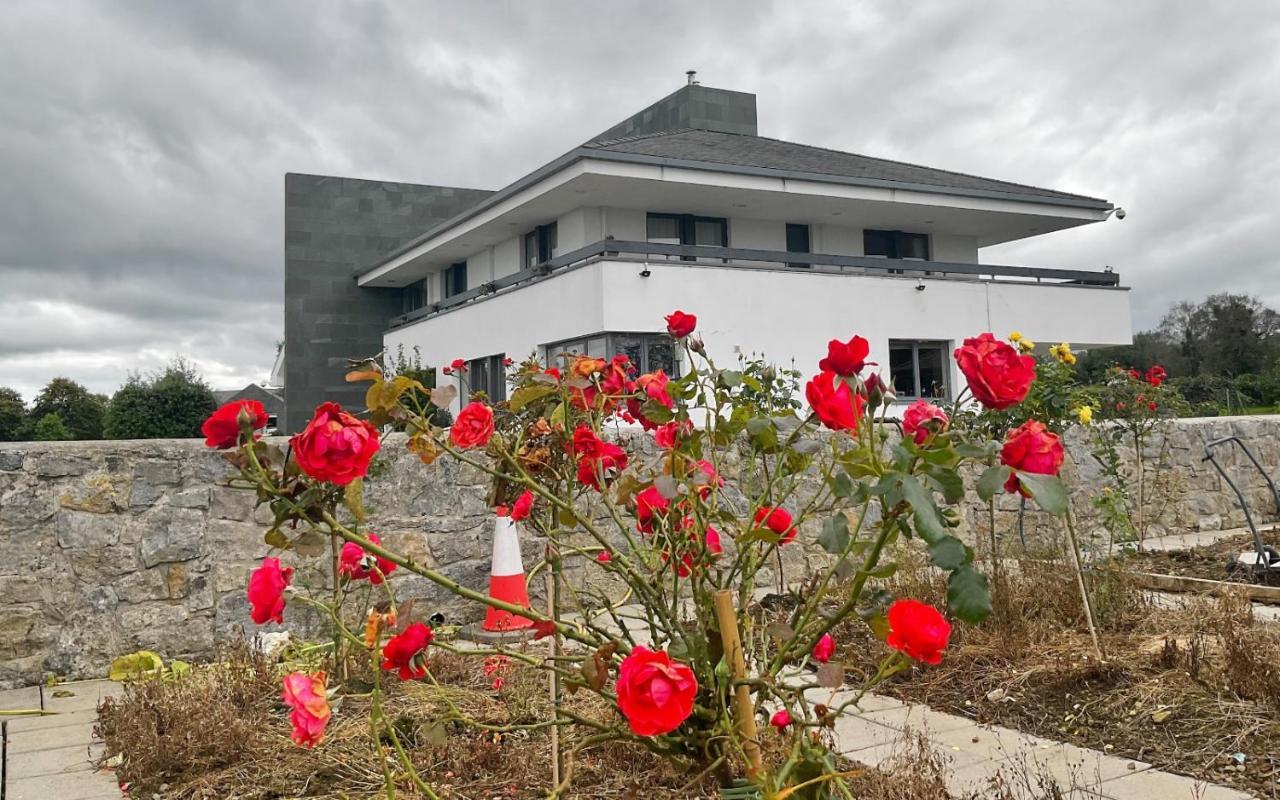 Hazelwood Country House Bed & Breakfast Adare Dış mekan fotoğraf