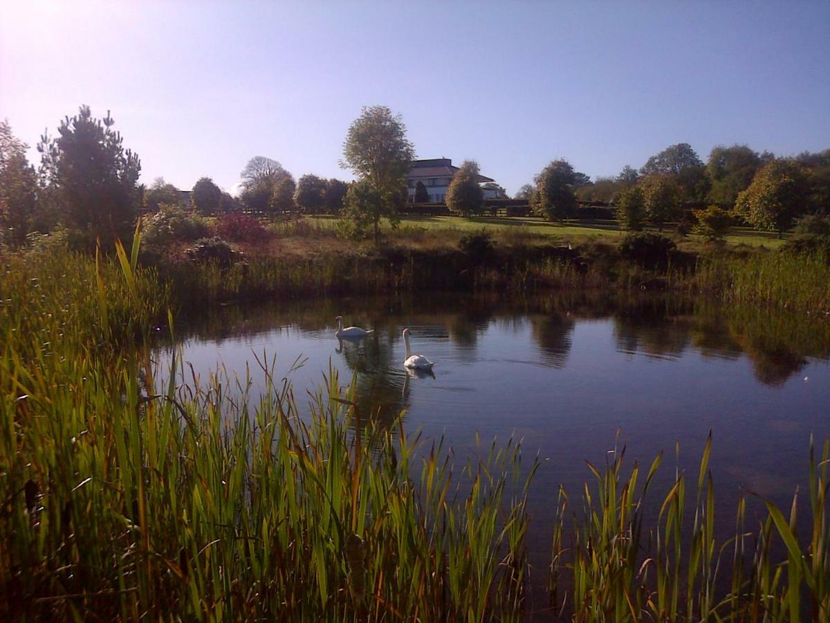 Hazelwood Country House Bed & Breakfast Adare Dış mekan fotoğraf